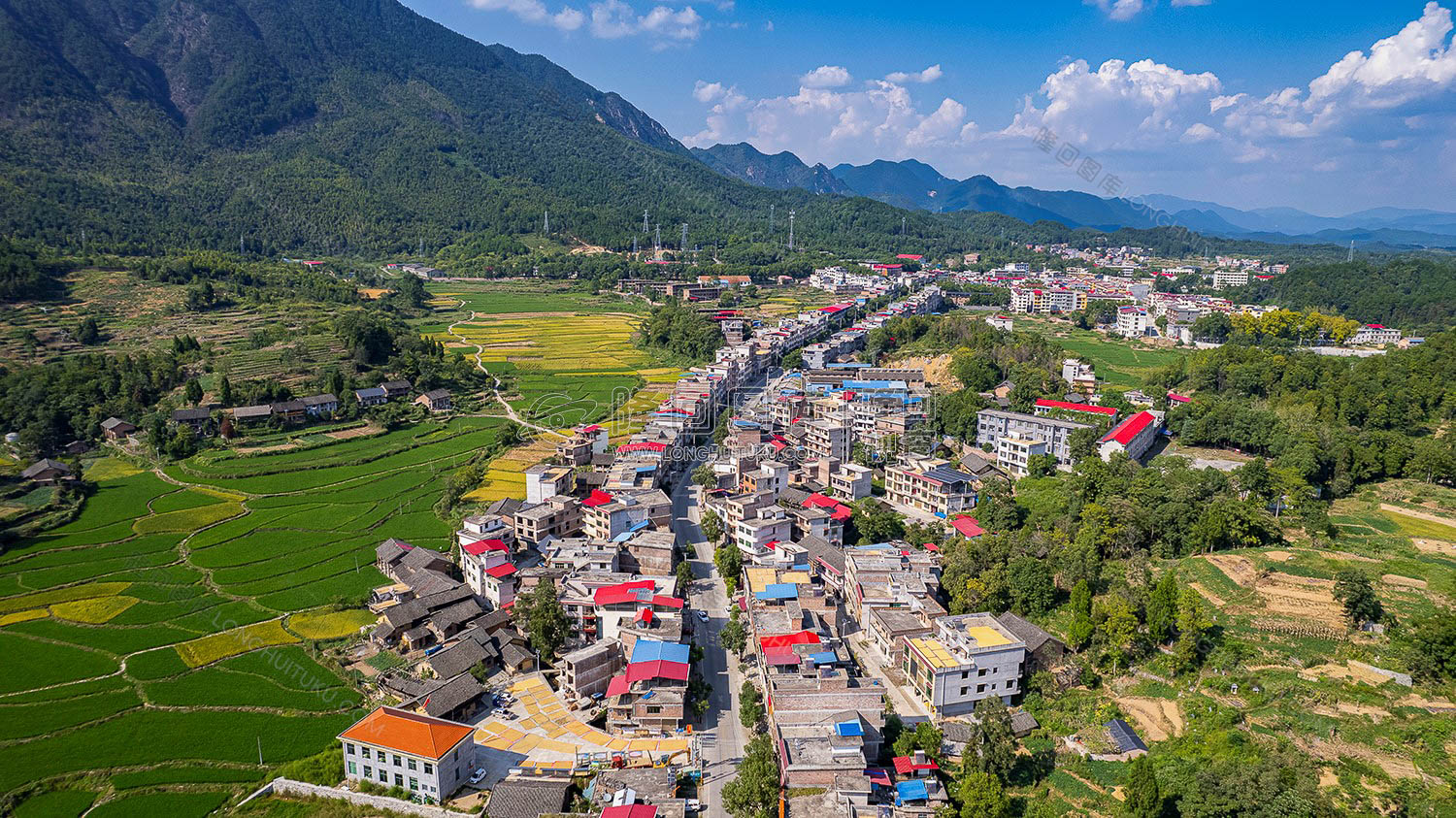 新坪村委会周边