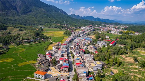 新坪村委会周边