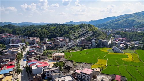 新坪村