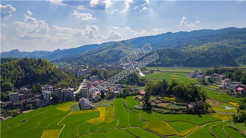 岩口村岩口水库周边