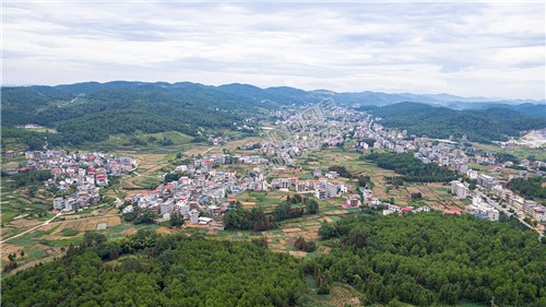 田坝村