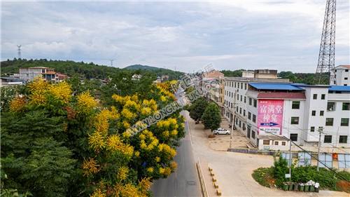 三阁司卫生院周边