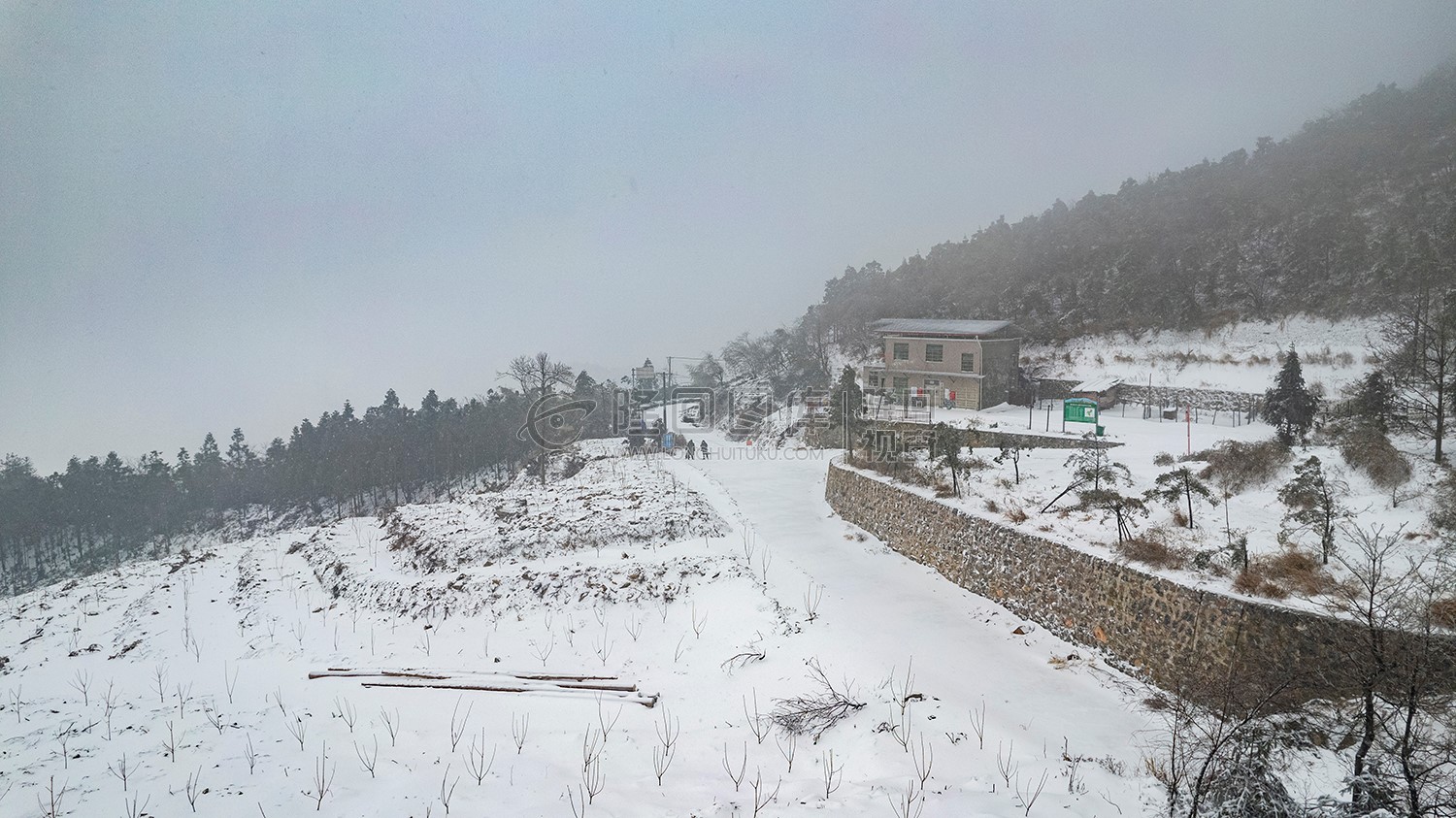 林场护林点路口