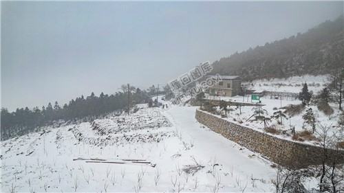 林场护林点路口