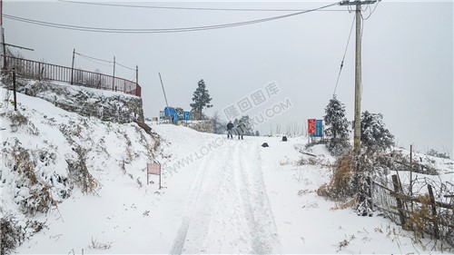 林场护林点路口