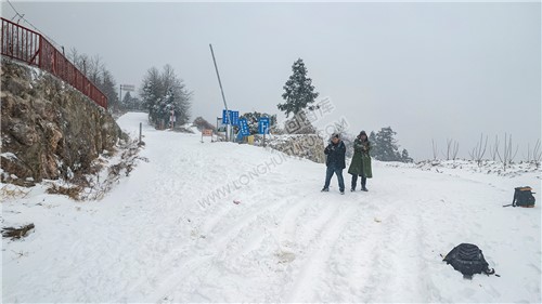 林场护林点路口