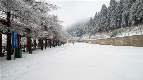 大东山雪景