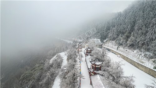 东山禅院的雪景