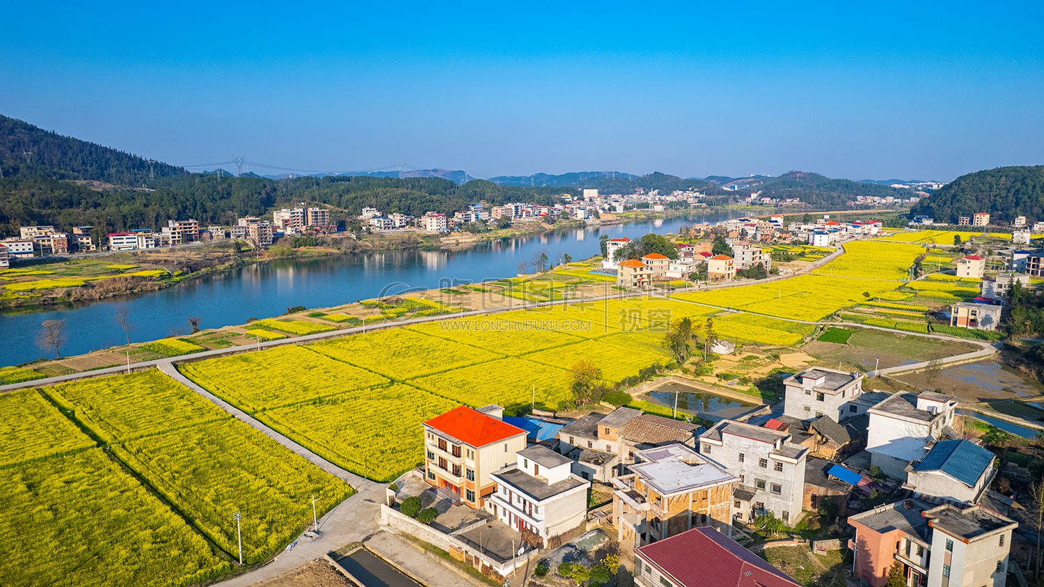 赧水河畔的沙坪村油菜花