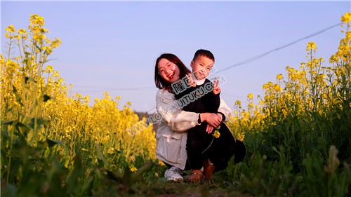 游客在油菜花中留影