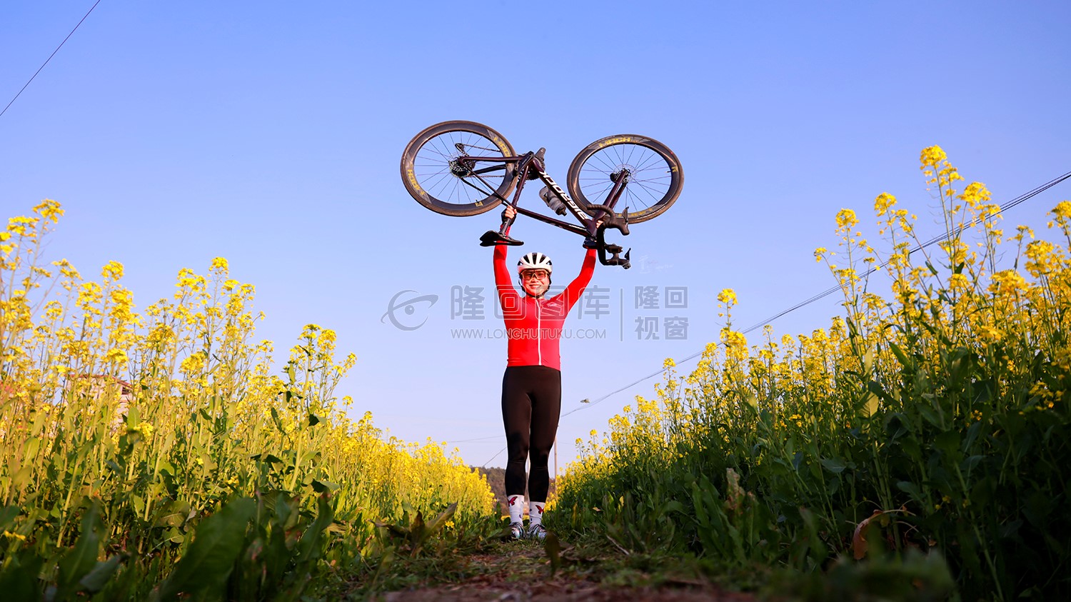 自行车爱好者在花中留影