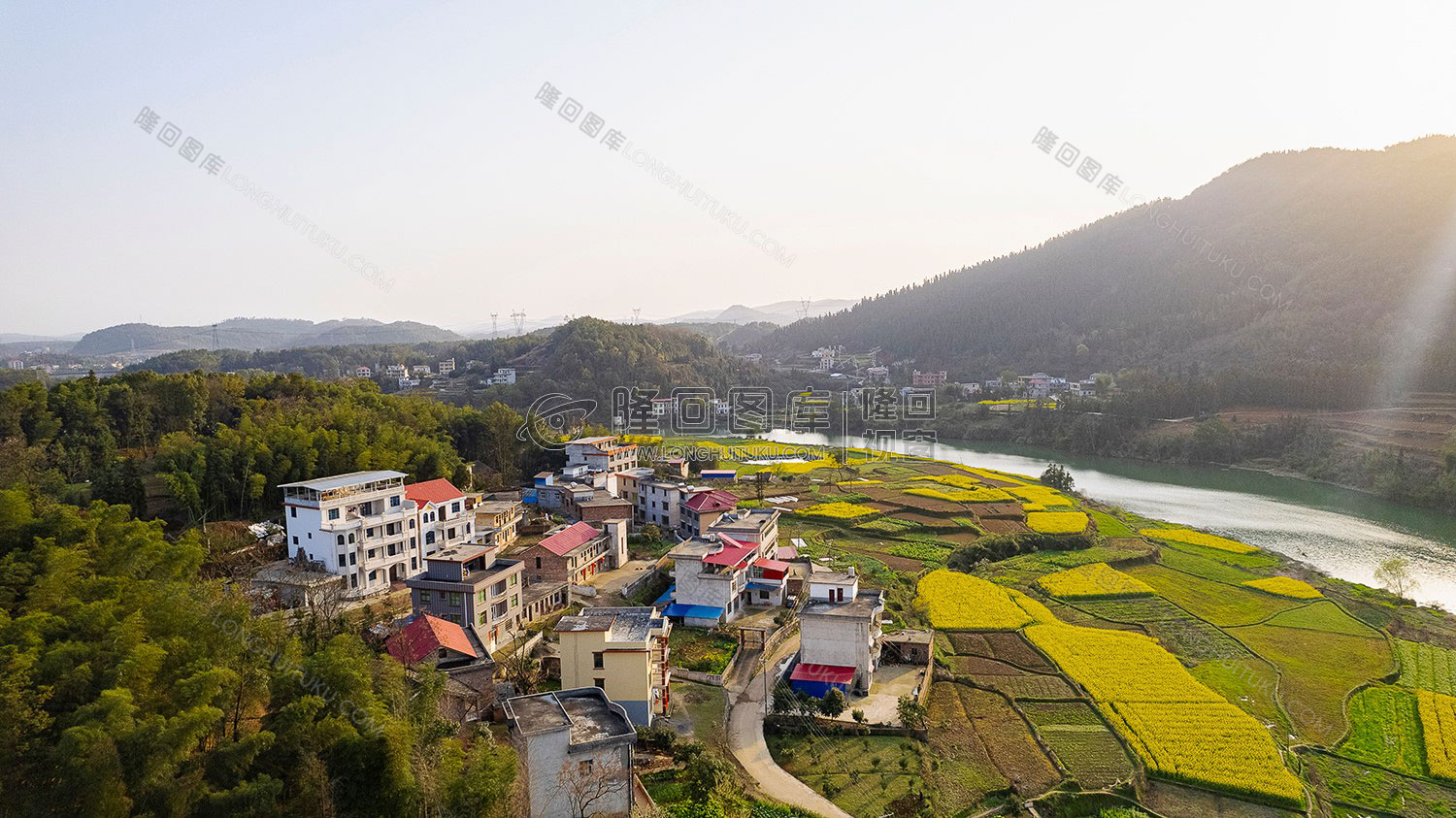 油菜花乡村风光