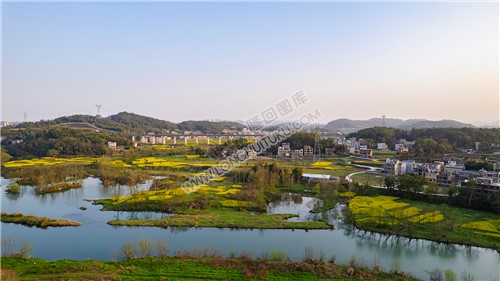 九龙村的春季风光