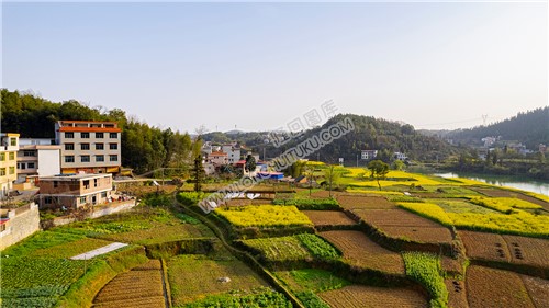 大洲村农村风光