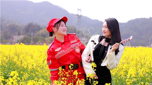 游客们在油菜花中拍照