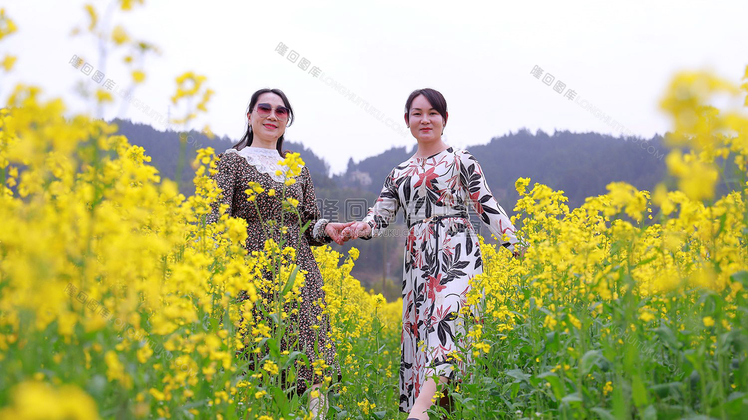 游客们在油菜花中拍照