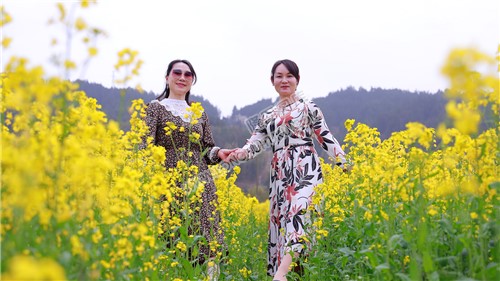 游客们在油菜花中拍照