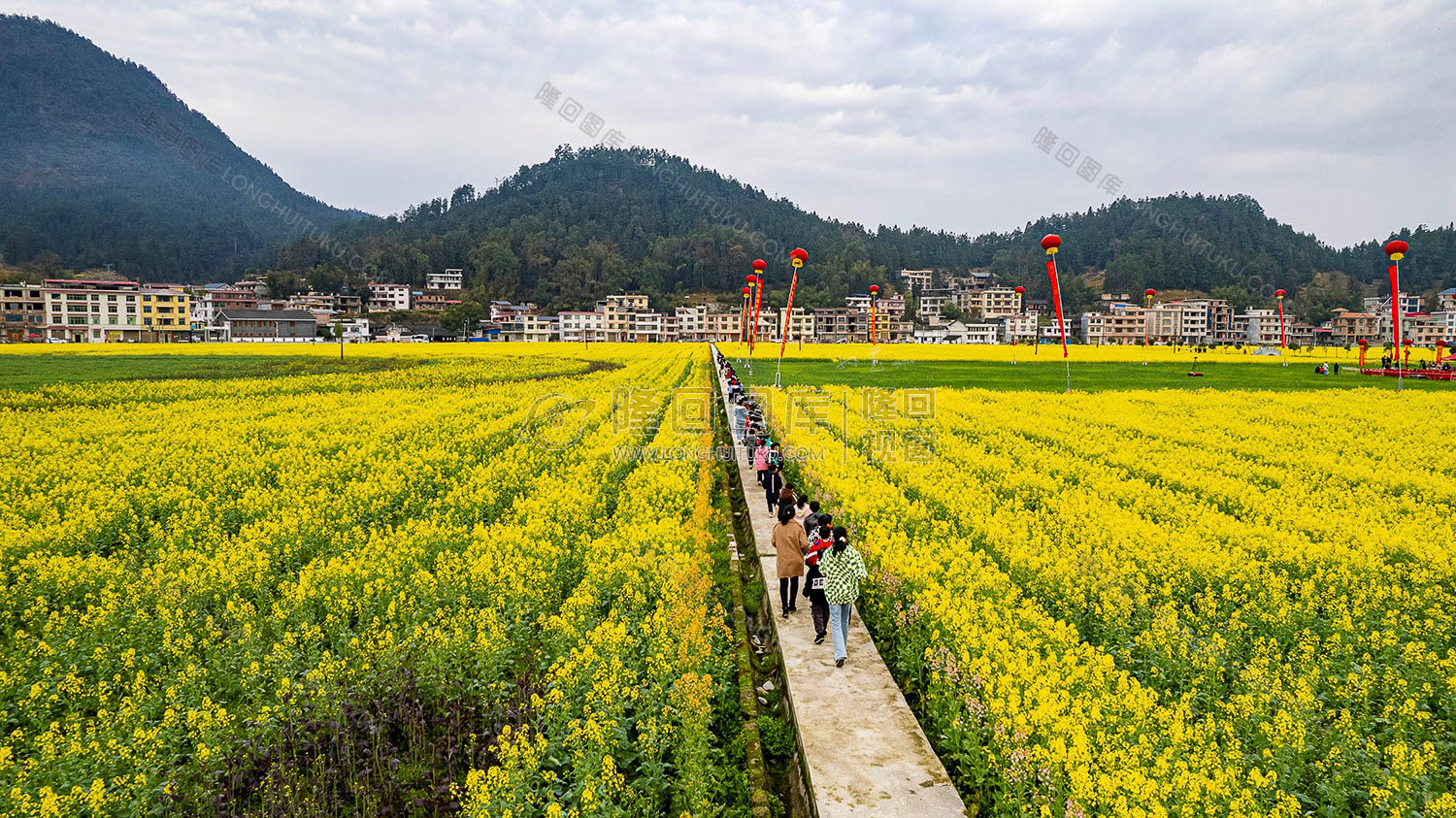 学生们走过油菜花田