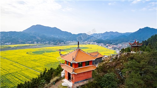 石山湾寺庙看油菜花基地