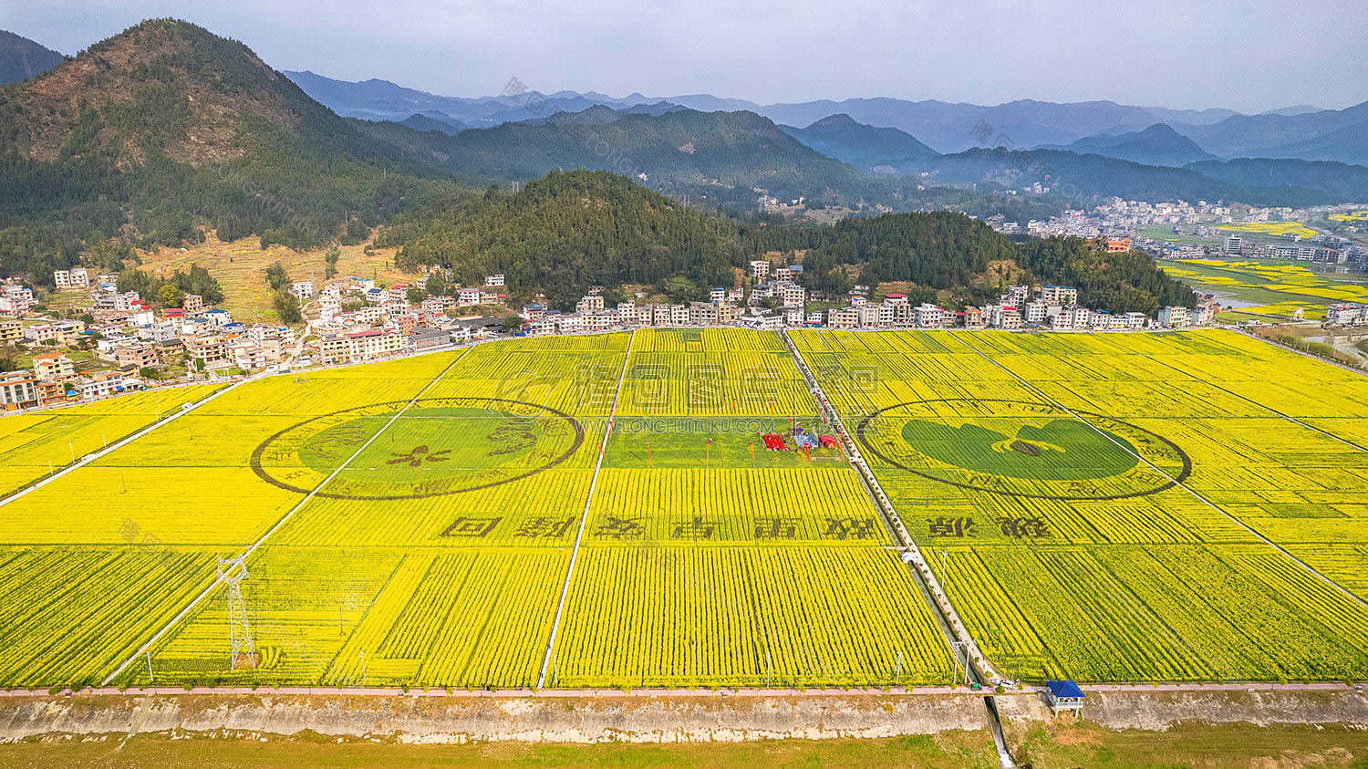石山湾的油菜花