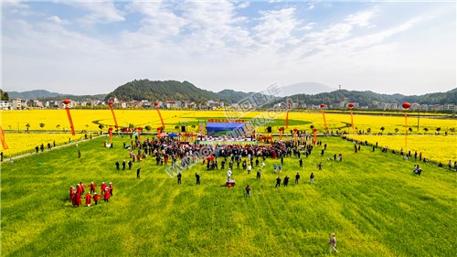 隆回油菜花节