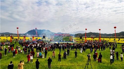 隆回油菜花节