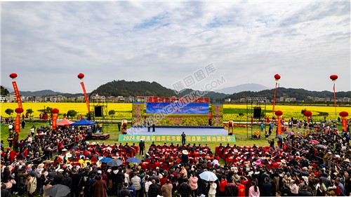 隆回县第二届油菜花节