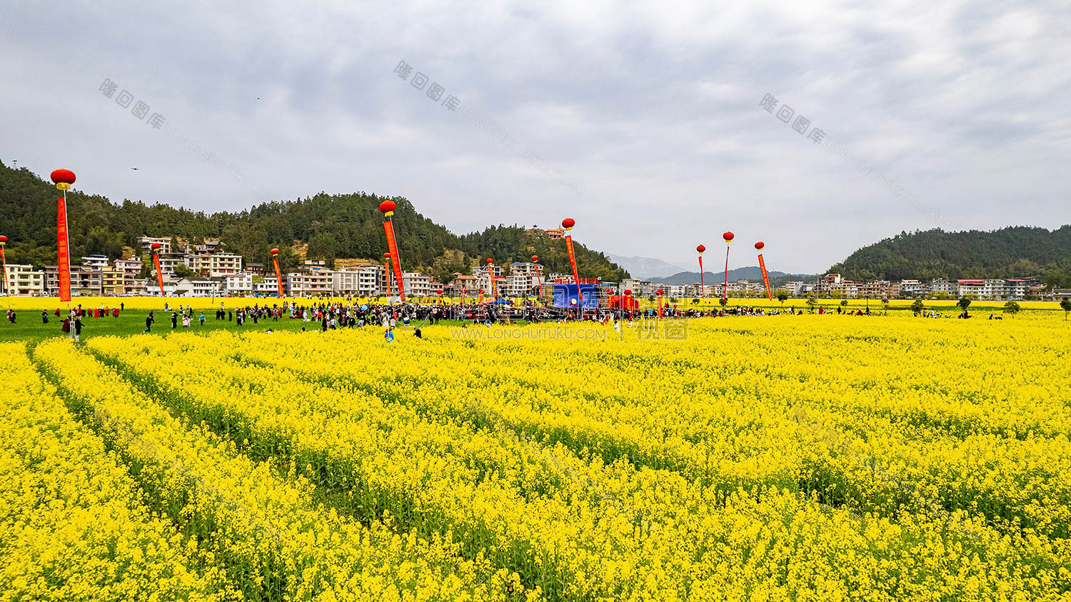 油菜花节现场