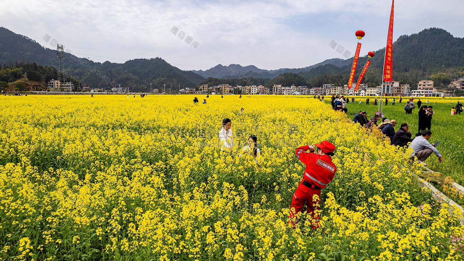 游客们在油菜花中拍照