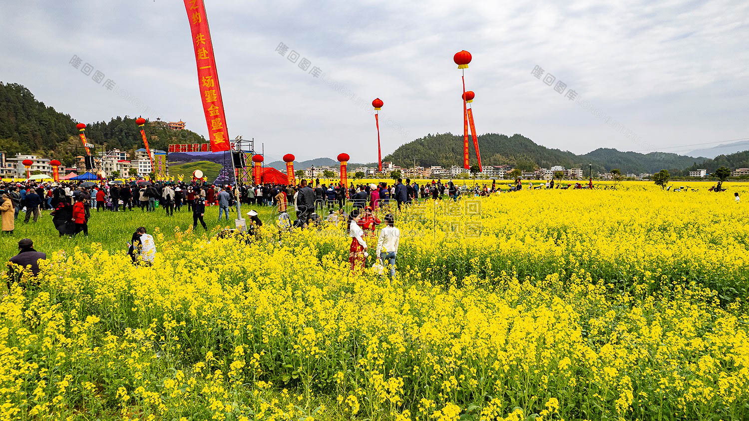 油菜花节现场
