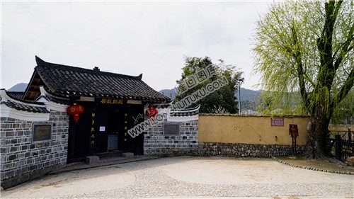 魏源故居前的柳树