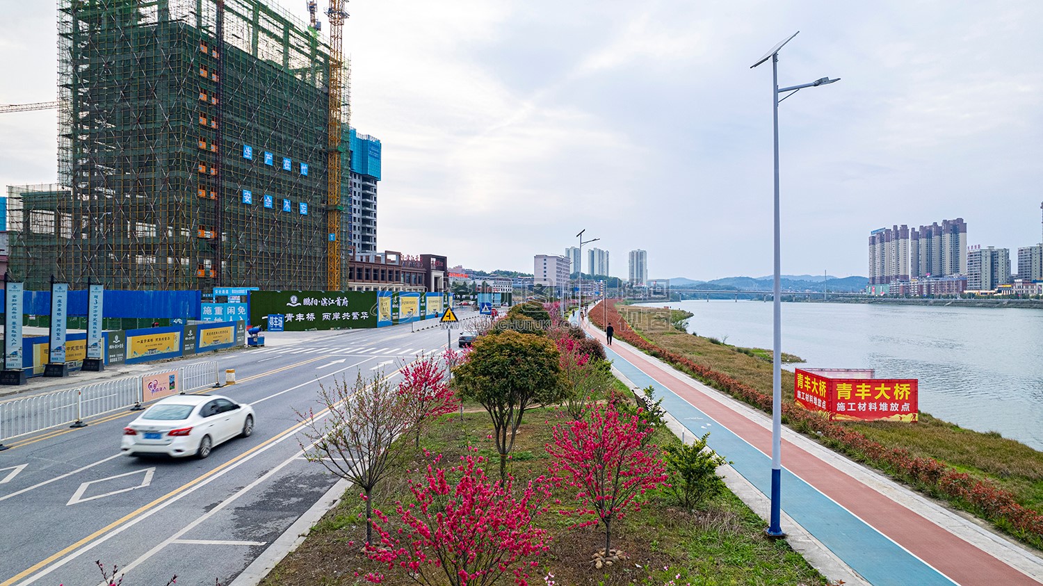 青丰大桥旁的桃花