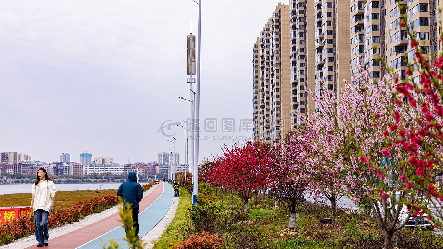 彩虹跑道旁的桃花