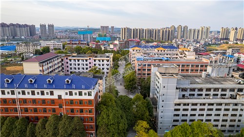 隆回九中校园林荫大道