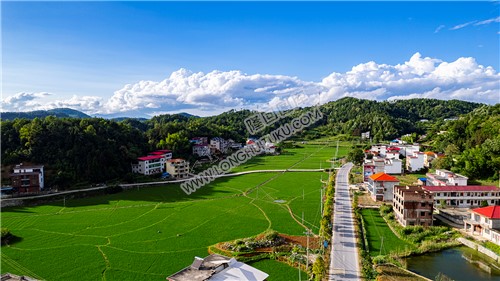 楠树坪优先小学