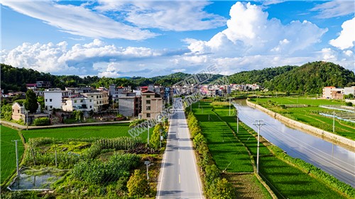 隆武公路穿过村庄