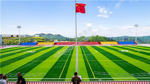 足球场主看台看足球场