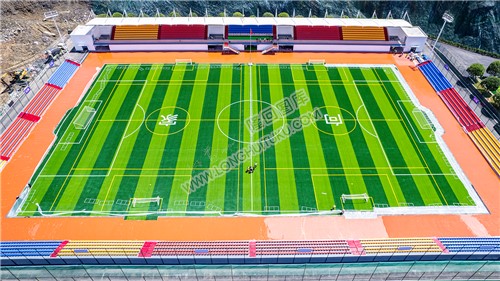 向家村11人制标准足球场