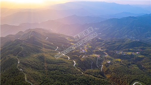 大东山林场方向