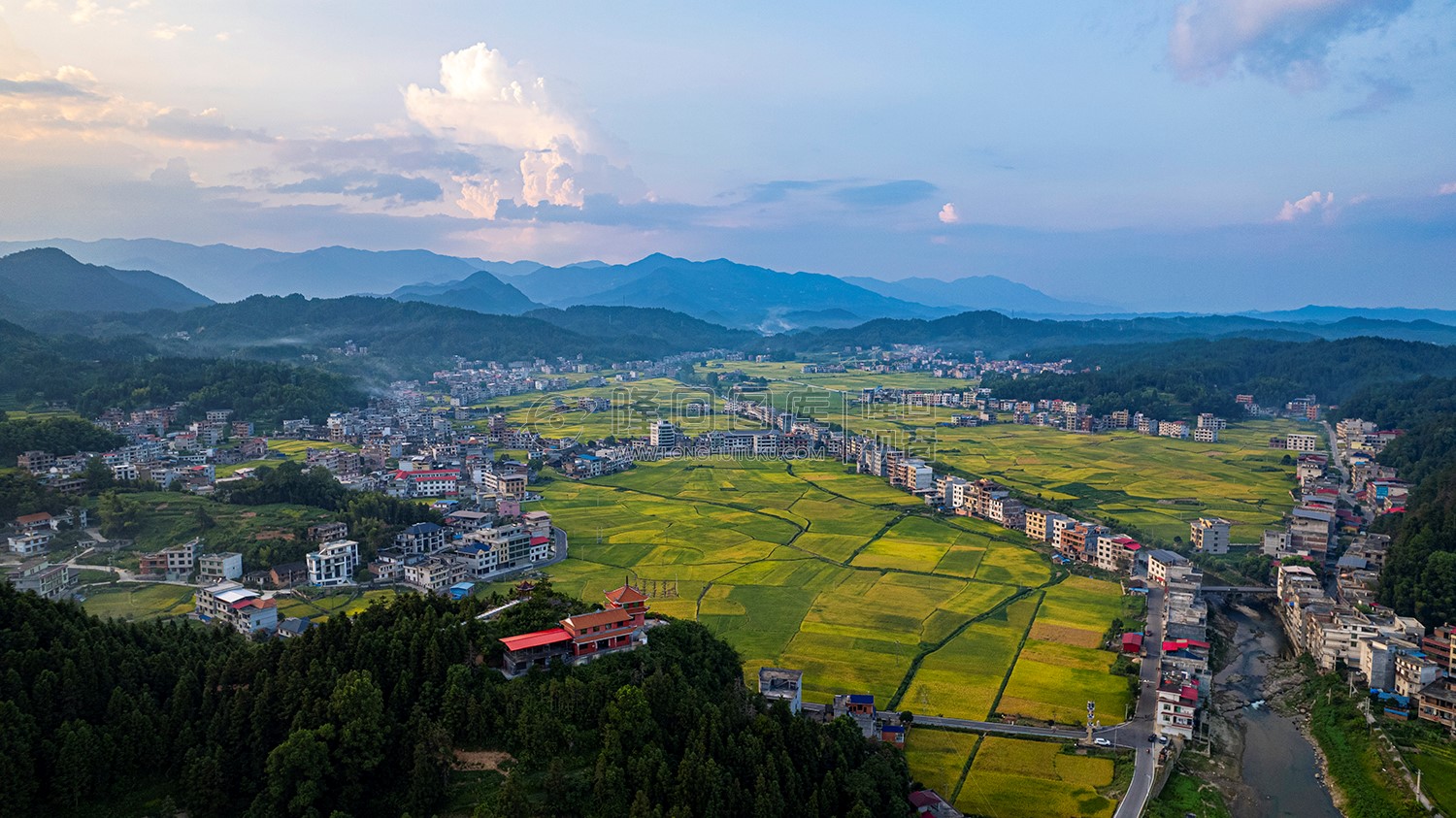 金潭村周边秋收稻田风光