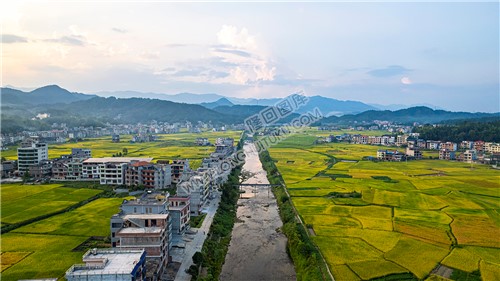 金潭村小河风光