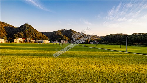 狮子石村的乡村田园风光