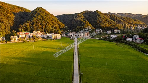 狮子石村的乡村田园风光