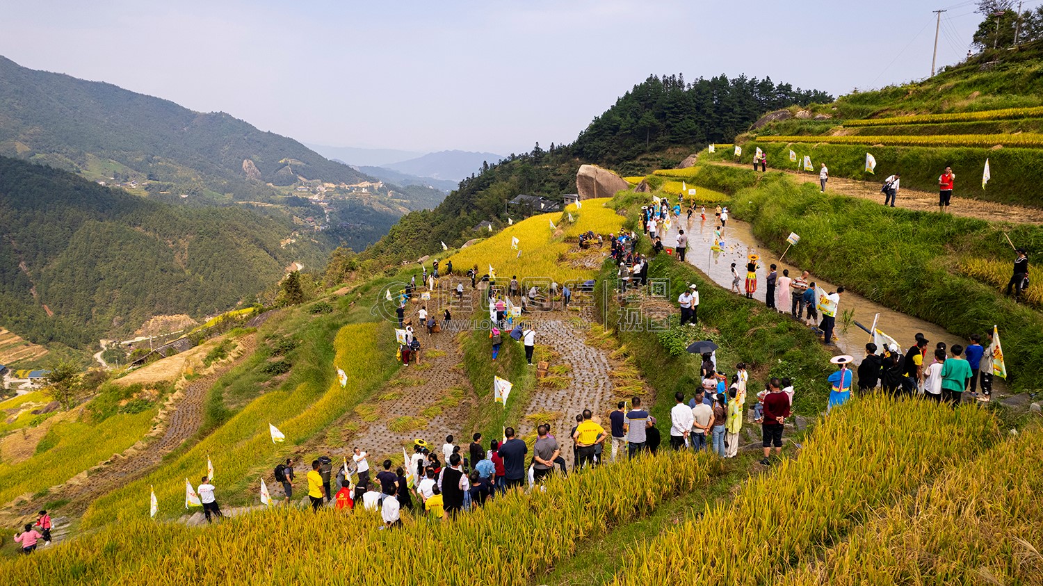2024年“我在瑶山有块田”白水洞村收割节启动