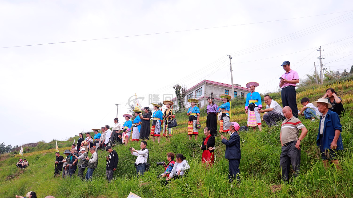 游客在梯田拍摄