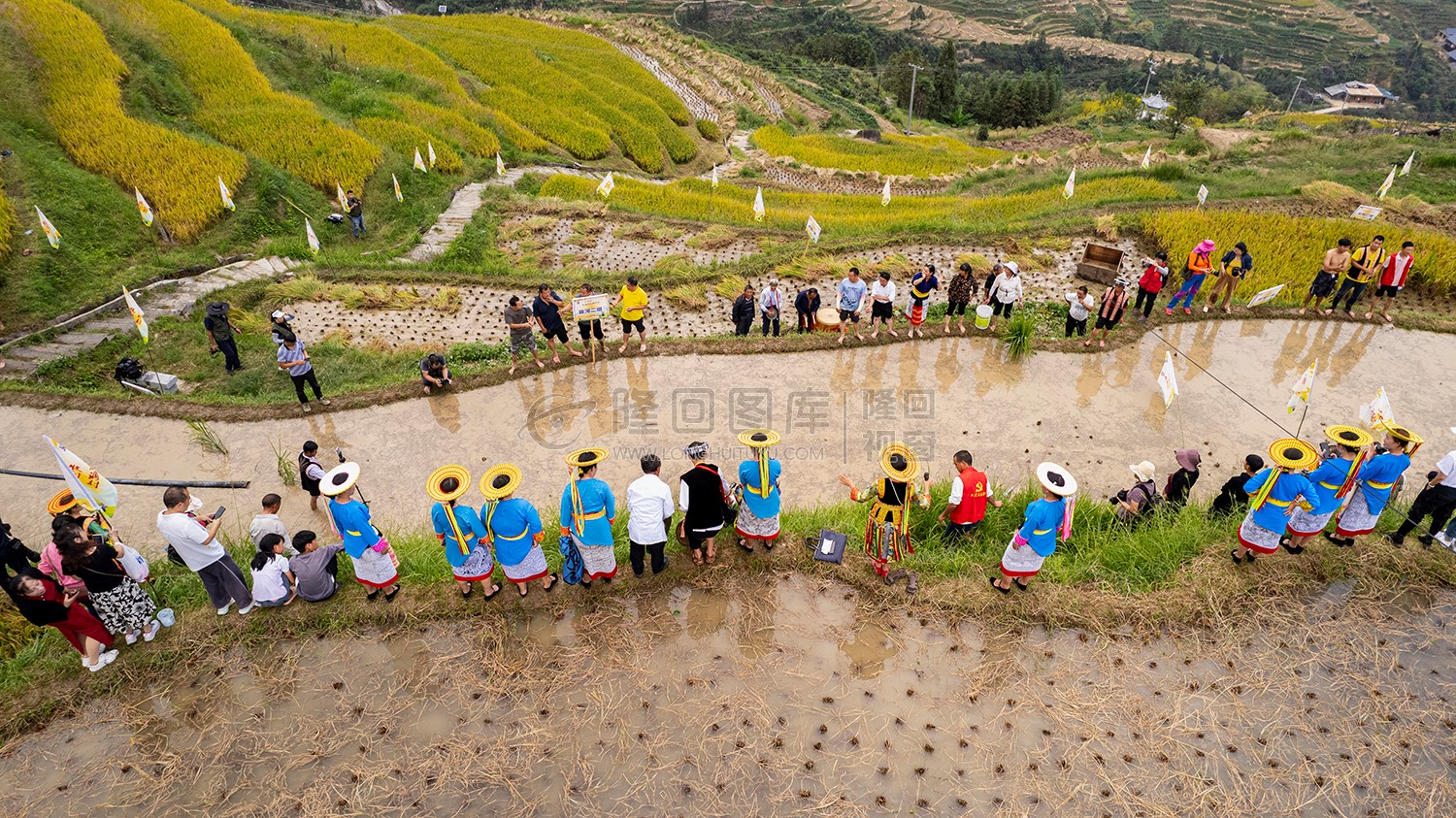 白水洞村收割节