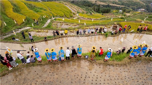 白水洞村收割节