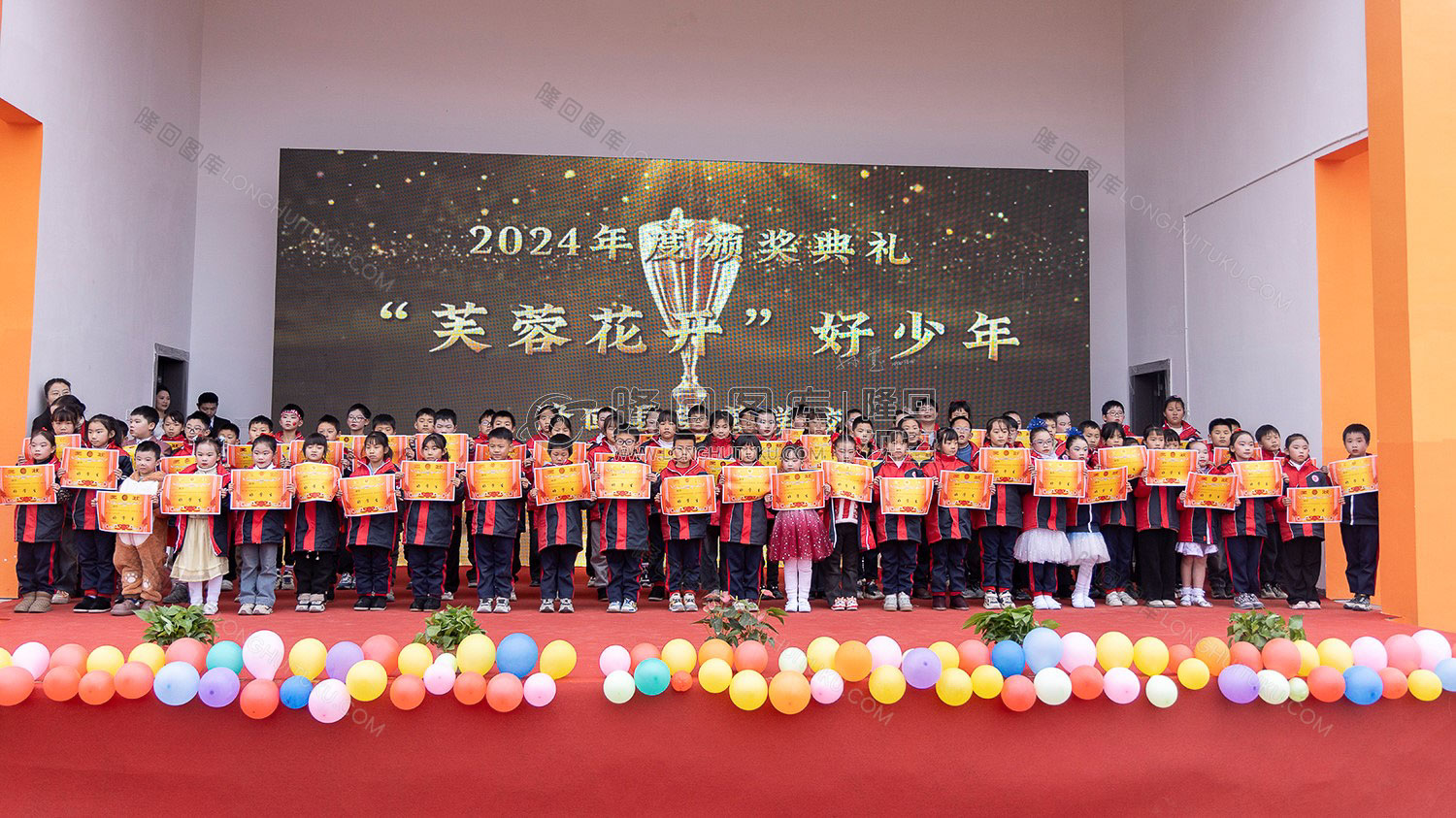 芙蓉花开好少年