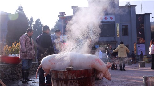 草原小学2025元旦“杀猪宴”