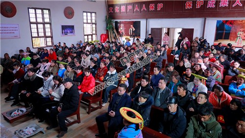 草原会场元旦汇演